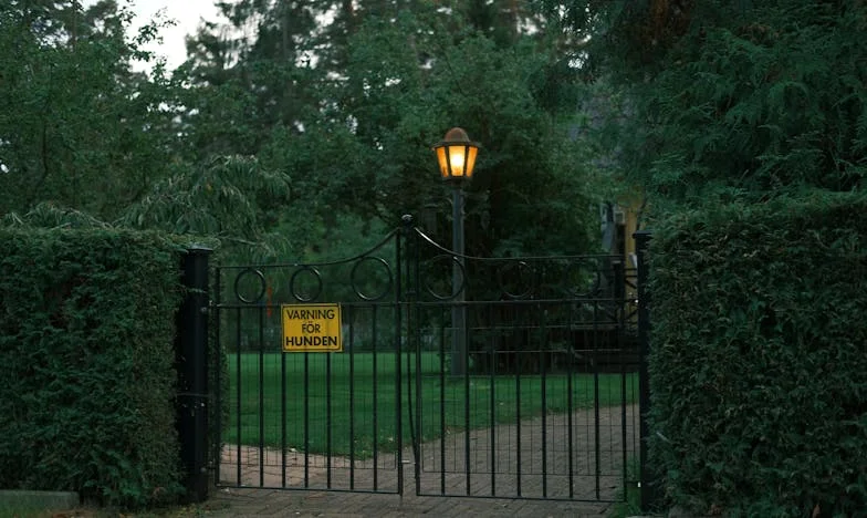 Sub Același Acoperiș: Lupta pentru Bunica și Adevăr