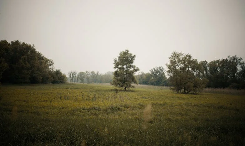 Ziua în care am devenit bunică, dar fiica mea m-a ținut la distanță