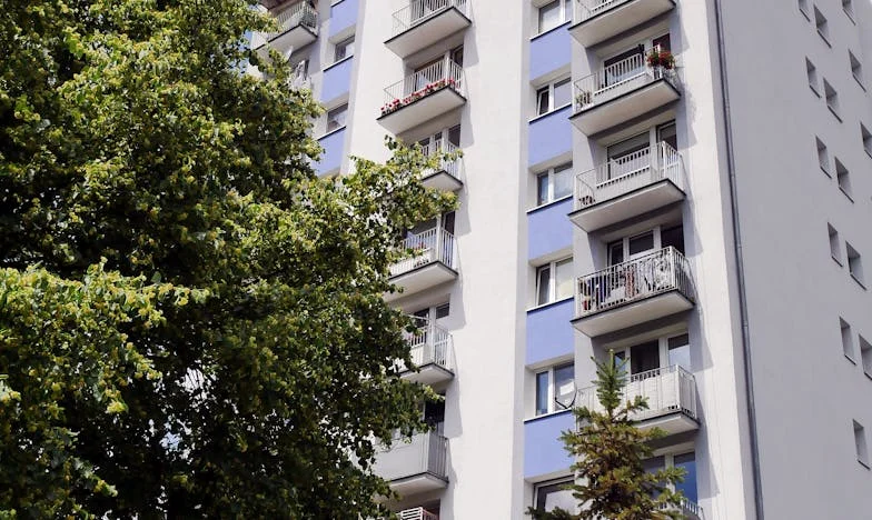 Στη Σκιά της Οικογένειας: Η Ιστορία μιας Μητέρας που Αντιστάθηκε στο Αίμα της