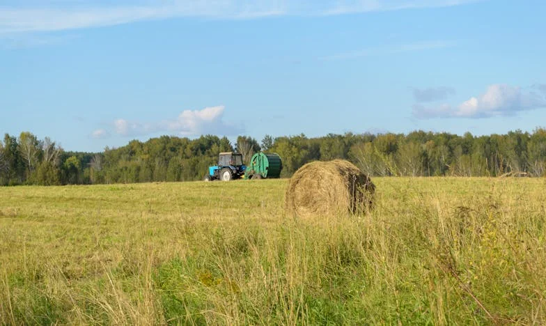 Niewidzialna granica: Kiedy własna rodzina staje się obca – historia Marii z Warszawy