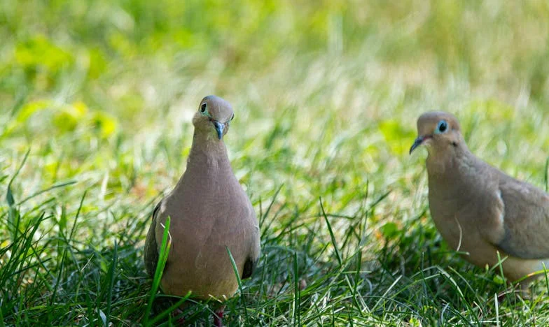 Samotna decyzja: Historia matki i córki w cieniu wyborów