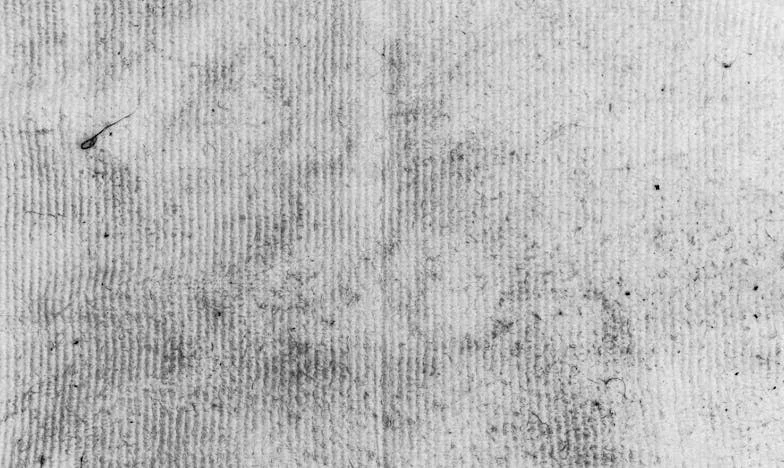 Ukryte kamery, ukryte lęki – Jak jedna decyzja rozbiła moją rodzinę