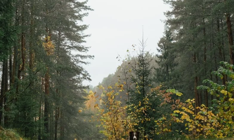 Cześć, słyszysz mnie? Chciałbym otworzyć ci oczy…