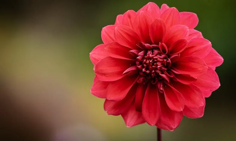 Dlaczego teraz zostaliście rodzicami? – Wewnętrzna walka babci w cieniu rodzinnych ról