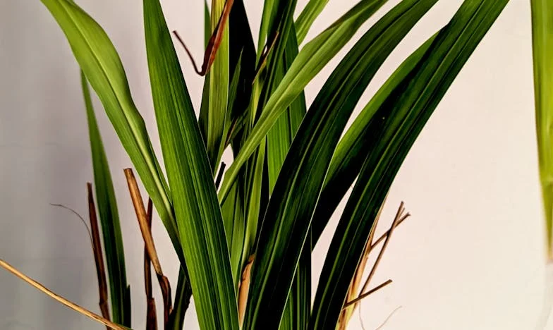 Gdzie kończy się miłość, a zaczyna cudza granica? Moja walka o miejsce w rodzinie córki