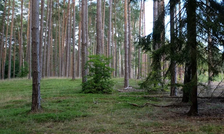 Klucze do Przeszłości: Rodzina na Krawędzi