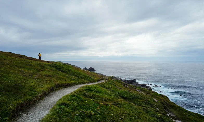 Między kotami, mężczyznami a tulipanami: Wiosenne przebudzenie Kasi