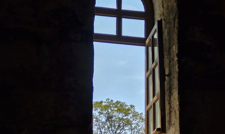 Mój dorosły syn wraca do domu: Dom, który nas dzieli i łączy