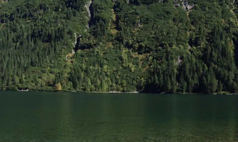 Moja teściowa żąda połowy domu: walka o własną wolność po rozwodzie