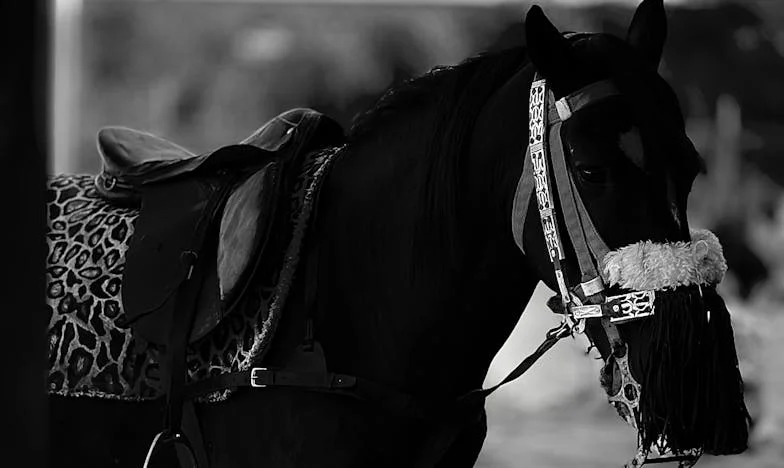 Moja teściowa żąda, żebym przygotowała świąteczny obiad – ale w tym roku powiedziałam dość. Moja historia o rodzinnych konfliktach i walce o siebie