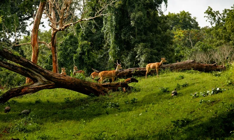 Po śmierci męża jego dzieci wyrzuciły mnie z domu: Jak odnalazłam siebie na nowo