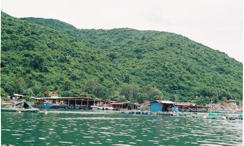 Pomogłam nieznajomej kobiecie na ulicy. Kilka dni później odkryłam, że zrujnowała życie mojej mamy. Co powinnam zrobić?