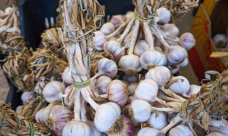 Siostry, czyli cena za brak miłości…