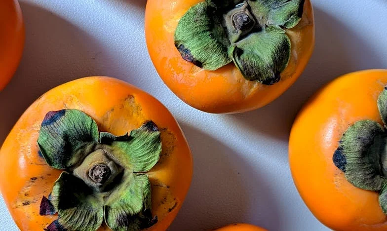 „To przecież twoja matka!” – historia o poświęceniu, zdradzie i poszukiwaniu siebie