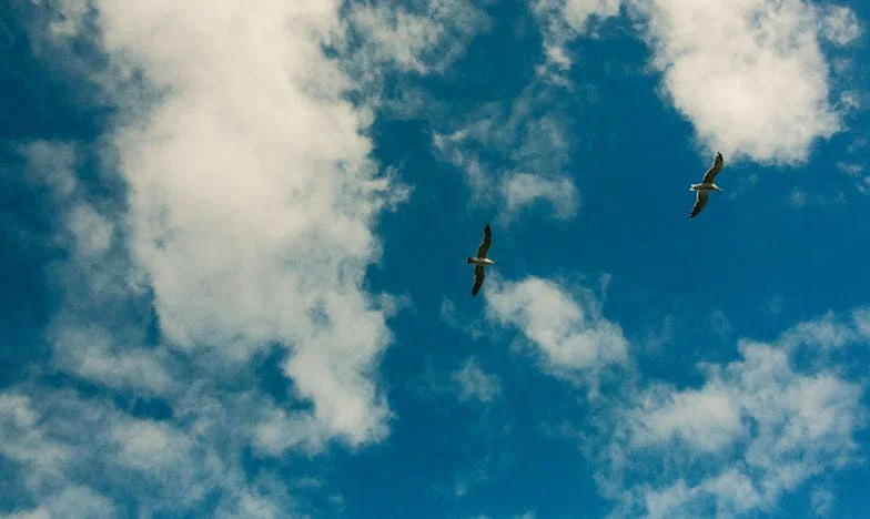 W imię miłości – historia Magdy i Pawła, których rozdzieliła rodzina i własne lęki