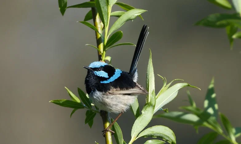 Wiadomość, która rozbiła moje małżeństwo: Prawda o Darku, której nie chciałam znać