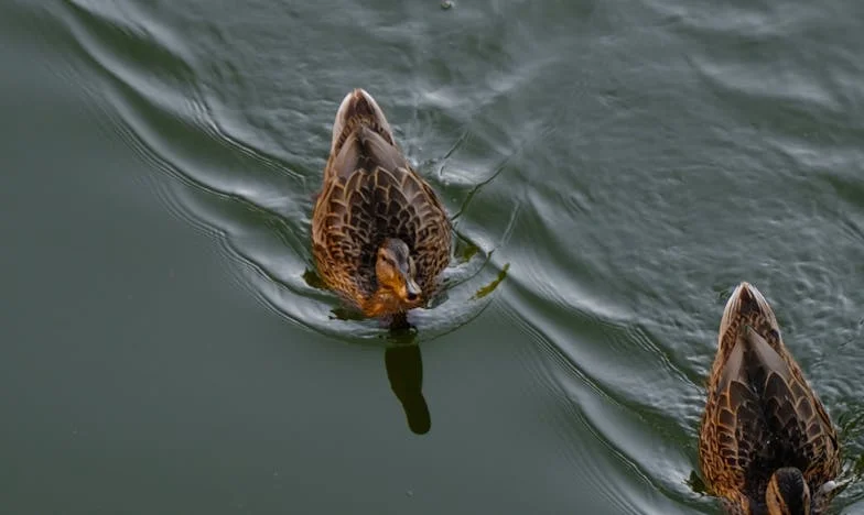 Zbyt późno na powrót: Historia Krzysztofa Kowalskiego po trzydziestu latach małżeństwa