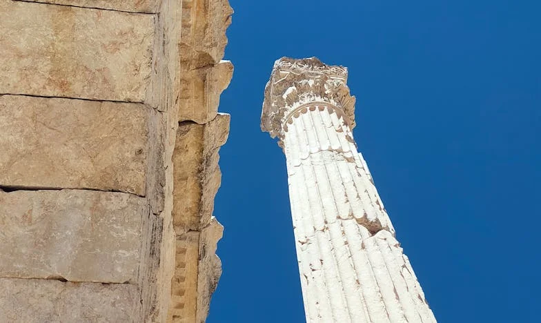 Zerwane więzi: Historia o poszukiwaniu domu i własnej tożsamości