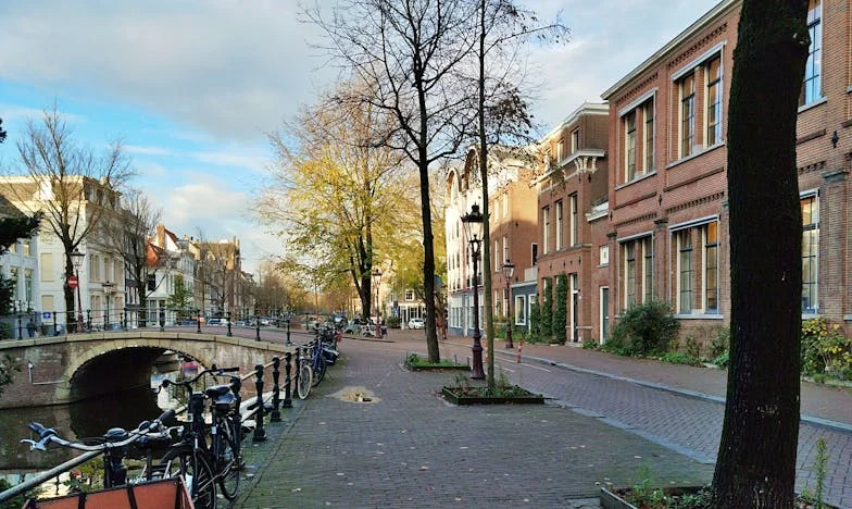 Biblioteczka Śniadaniowa pani Zosi – historia o pustce, którą można wypełnić