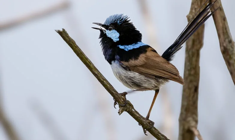 Dom, który nigdy nie był mój. Gorzka prawda o rodzinie, która miała być schronieniem