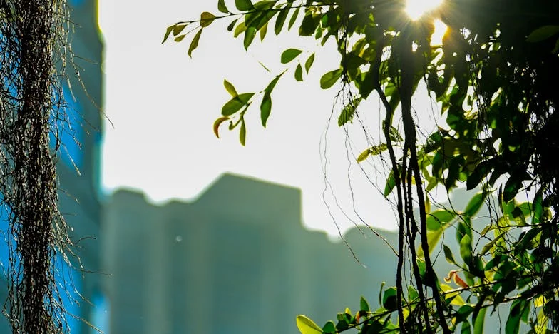 Dwadzieścia lat razem, a potem nagle sama: twarz pocieszenia, której się nie spodziewałam