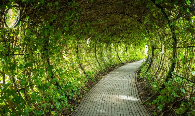 Dwie noce i jeden dzień w sercu Zosi