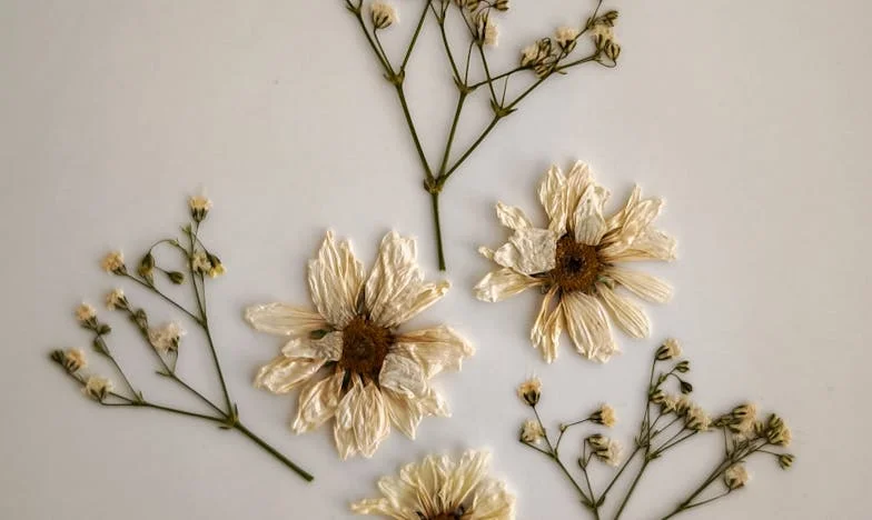 Gdy miłość do dziecka staje się ciężarem: Opowieść matki rozdartej między synem, synową i utraconym domem