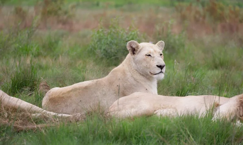 Jak modlitwa uratowała mnie przed nienawiścią – historia walki o spadek w mojej rodzinie