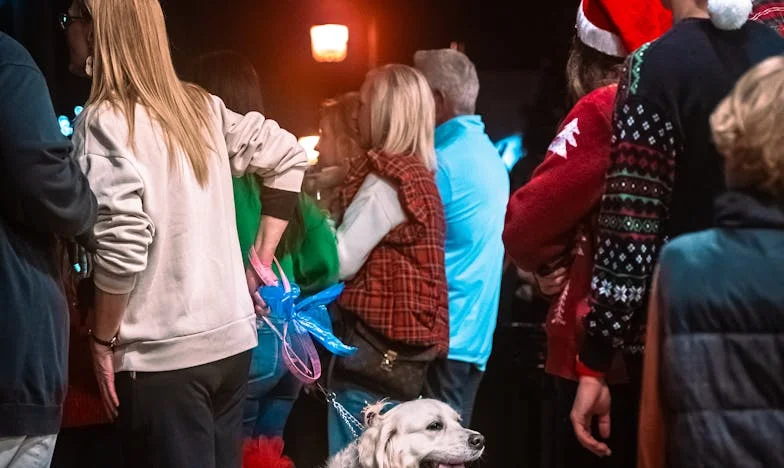 Jak tu trafiłam? Opowieść Jadwigi Nowak o utracie domu i godności