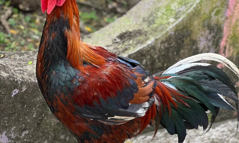 Kiedy córka mówi, że odchodzi: Historia z serca polskiej matki