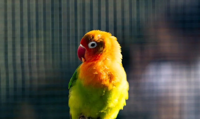 Kiedy mój mąż oddał całą moją pracę swojej matce – polska rodzinna burza od kuchni