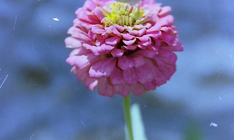 „Mamo, nie będę miała dziecka” – Moja walka z bezpłodnością i oczekiwaniami rodziny