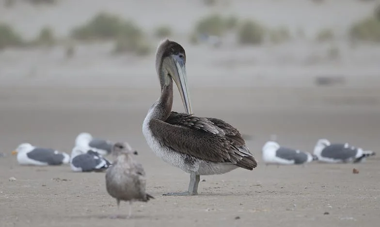 Masz miesiąc, żeby się wyprowadzić – historia zdrady i nowego początku
