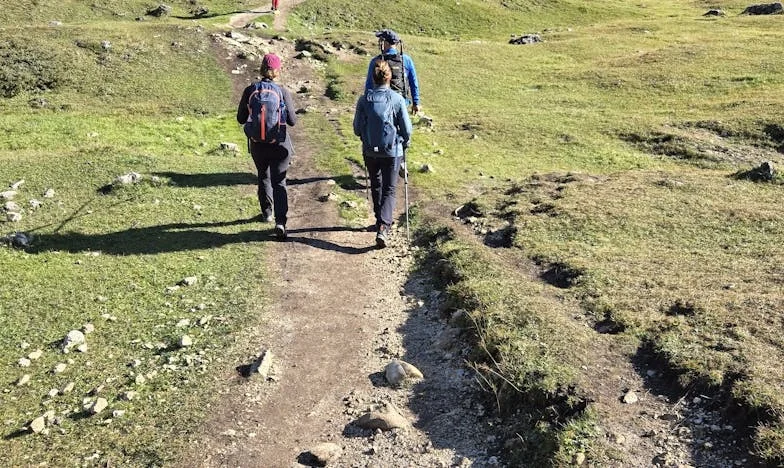 Między ciszą a burzą: Opowieść z domku pod lasem