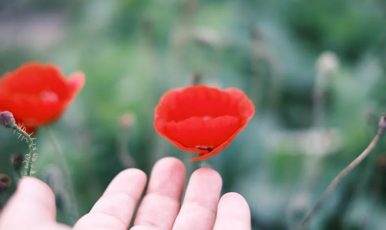 Między ciszą a krzykiem: Moja walka o miejsce w nowej rodzinie