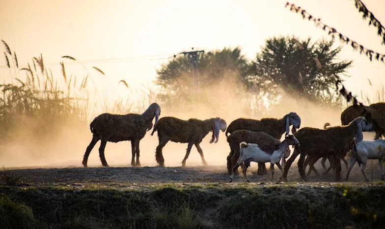 Mieszkanie po ojcu, którego nigdy nie znałam – a teraz mama żąda połowy. Czy to sprawiedliwe?