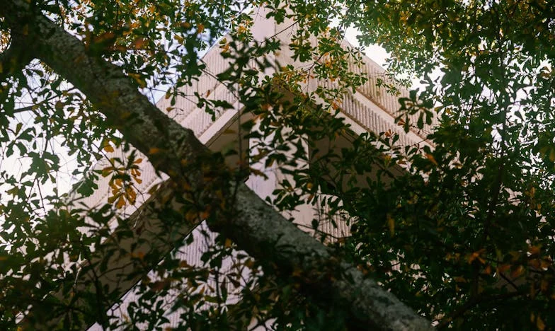 Miłość sąsiedzka czy zagrożenie? Niespodziewany prezent zza płotu