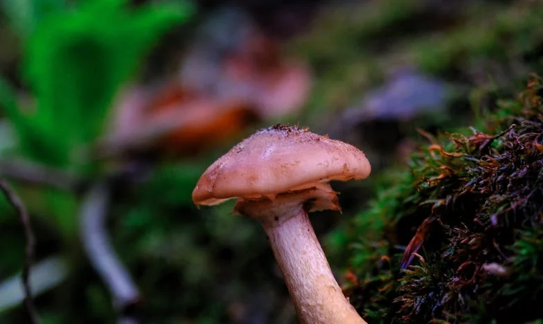 Moja matka odmówiła pomocy, a ja musiałam walczyć o przetrwanie: historia samotnej matki z Polski