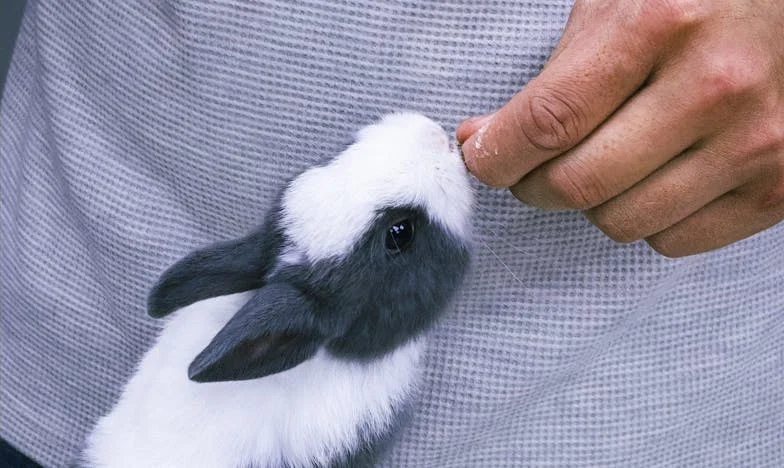 „Moja teściowa zostawiła dom szwagrowi, a mój mąż nie dostał nic. Czuję się zdradzona i upokorzona” – Moja historia rodzinnego rozczarowania