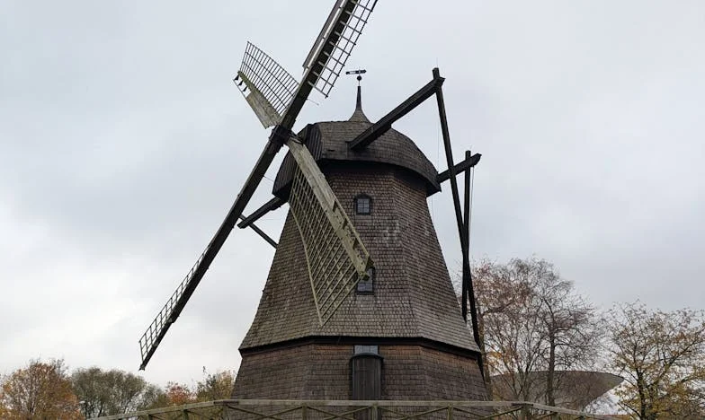 „Nie, mamo, nie będziesz z nami mieszkać!” – Mój bój o dom i godność