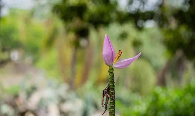 Niedziela, która rozdarła moją rodzinę: Czy miałam prawo powiedzieć prawdę?