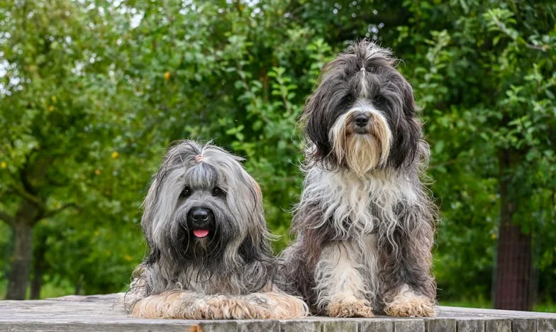 Niewidzialna nić: Czy nasza przyjaźń przetrwała próbę macierzyństwa?