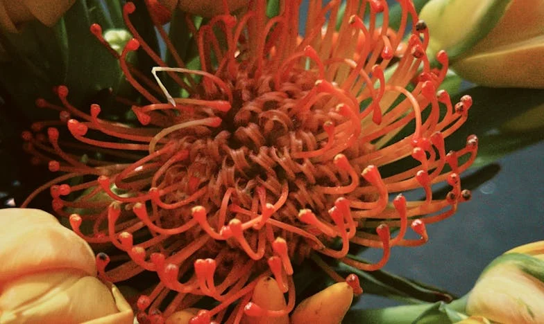 Noc, która zmieniła wszystko: Gdy zostawiliśmy dzieci u mojej mamy i odebrałam ten telefon