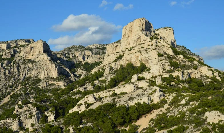 Nowy rozdział z przyjacielem: Gdy życie zaczyna się po pięćdziesiątce