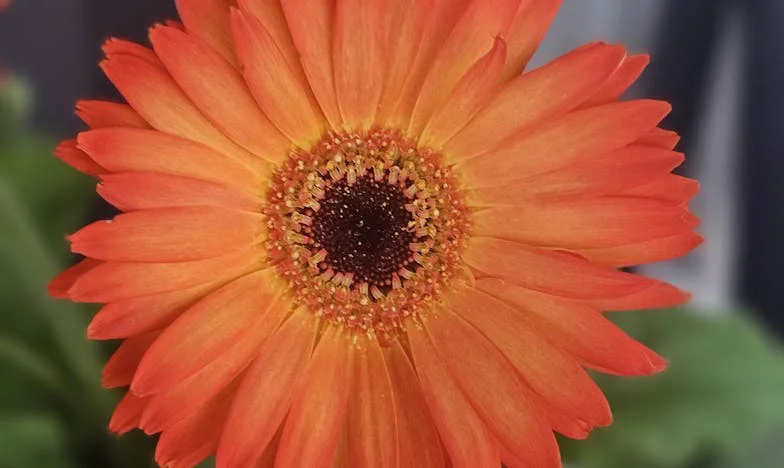 Od teraz wszystko się zmieni. Obiecuję…