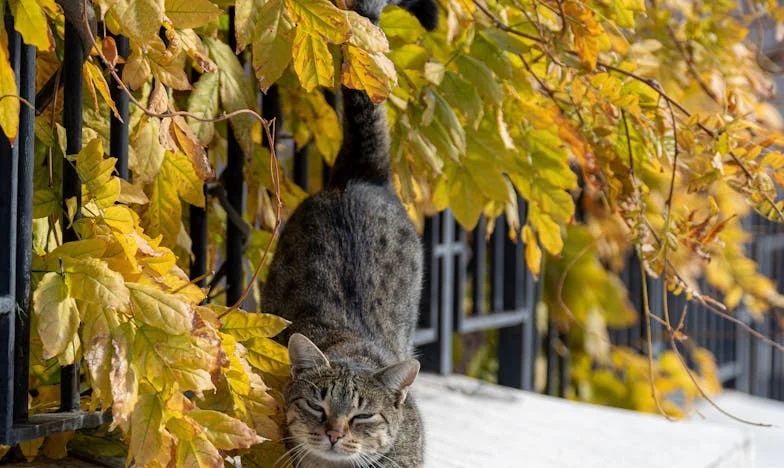Po pogrzebie otworzyłam jego stary telefon i znalazłam wiadomości, które mnie zniszczyły – czy można wybaczyć po śmierci?