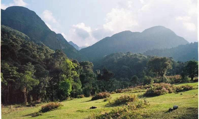 Prezent, który rozdarł moją rodzinę: Jak jeden gest zmienił wszystko
