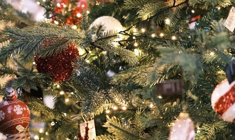 Sekrety, które rozdarły moją rodzinę – Wyznanie polskiej kobiety