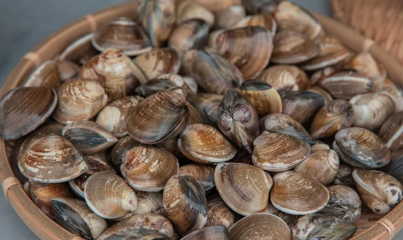 „Spakuj się i zamieszkaj z nami!” – Życie w cieniu teściowej. Czy potrafię postawić granice, gdy rodzi się nowe życie?