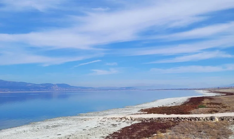 Wszystko było doskonałe, dopóki nie wróciła – historia Małgorzaty i Zofii